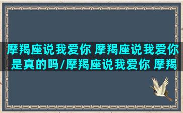 摩羯座说我爱你 摩羯座说我爱你是真的吗/摩羯座说我爱你 摩羯座说我爱你是真的吗-我的网站